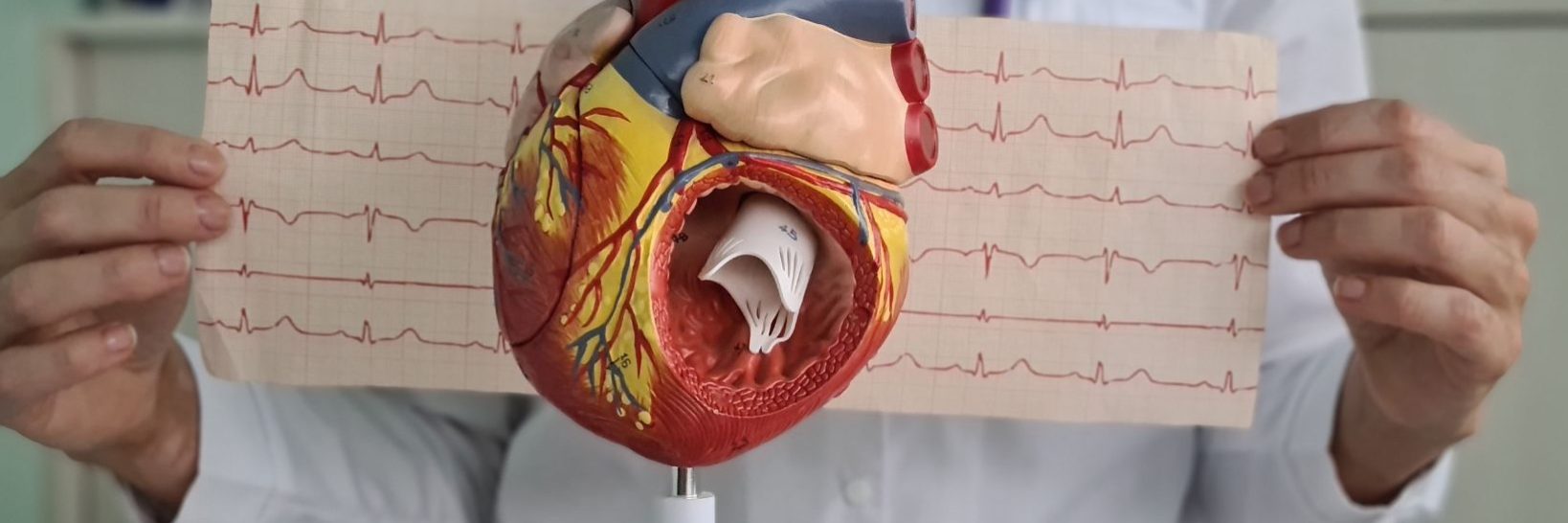 Ο καλυτερος καρδιολογος στην Αθηνα